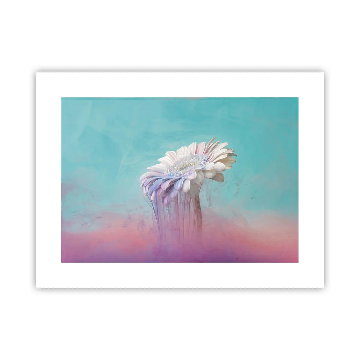 Affiche - Poster - Le monde souterrain des fleurs - 40x30 cm