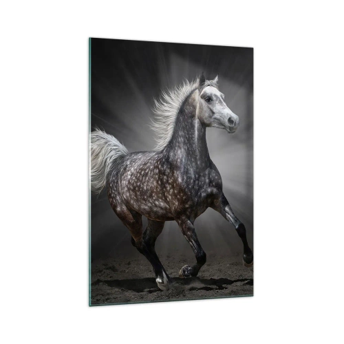 Impression sur verre - Image sur verre - Un cheval blanc galopant sur un fond sombre - 70x100cm - Le gris est beau - Décoration murale moderne pour le salon et la chambre ARTTOR