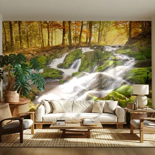 Papier Peint Photo Premium Canvas - Rapidement à travers la forêt d'automne - Paysage, Forêt, ruisseau de montagne - 250x175 cm