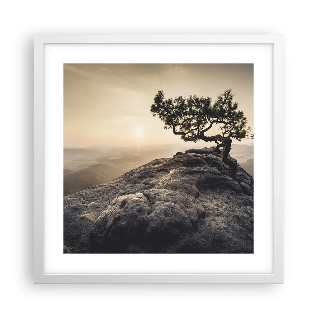 Affiche dans un cadre blanc - Poster - La vie gagne toujours - 40x40 cm