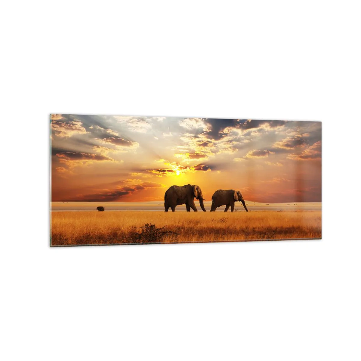 Impression sur verre - Image sur verre - Éléphants dans la savane au coucher du soleil - 120x50cm - Déambulation familliale - Décoration murale moderne pour le salon et la chambre ARTTOR