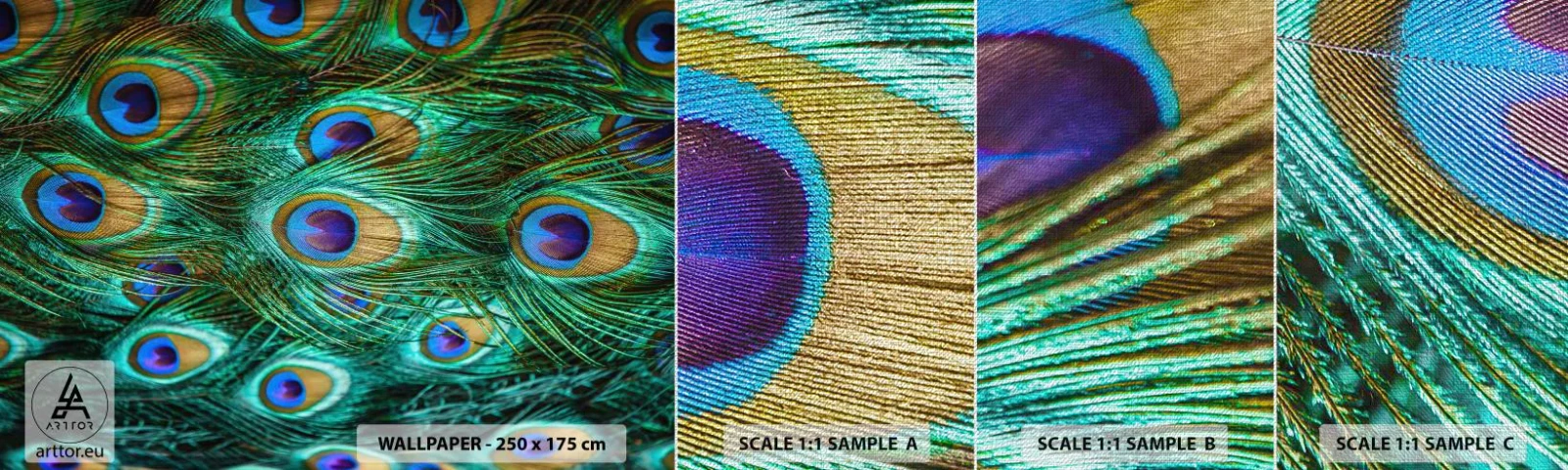 Échantillon de Papier Peint Premium Canvas - Un regard de paon - Abstraction, Plumes de paon, Plume oiseau - 100x30 cm