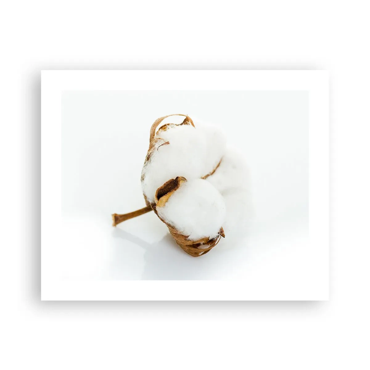 Affiche - Poster - Doux par nature - 50x40 cm