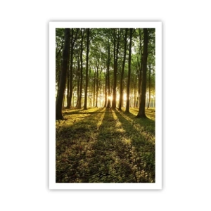 Affiche - Poster - Toutes les photographies de printemps - 61x91 cm