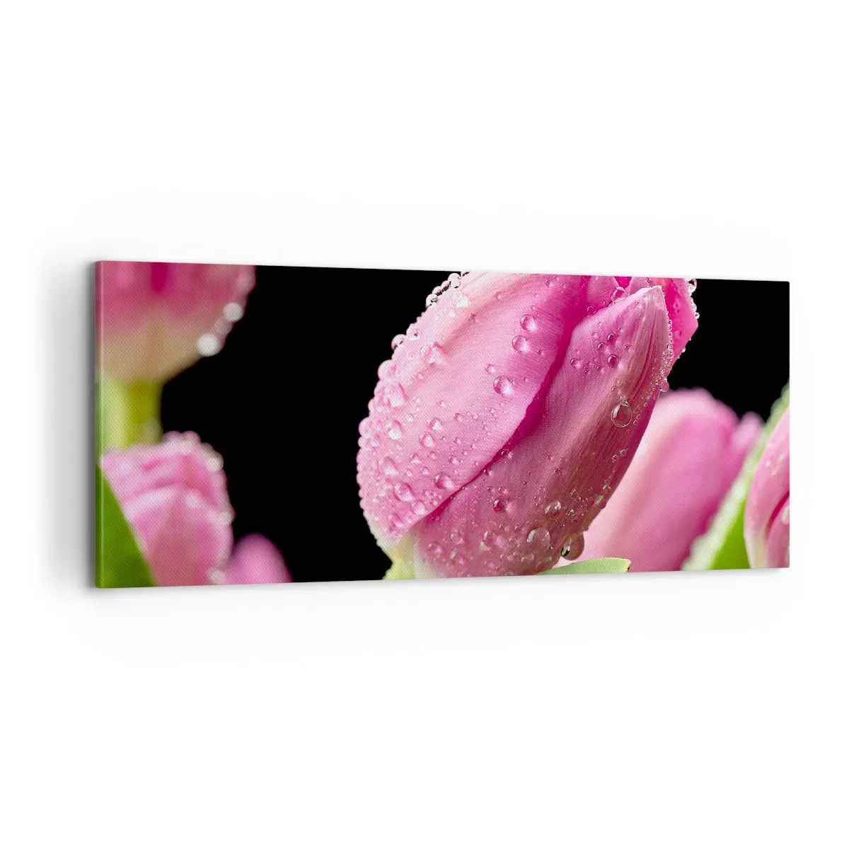 Impression sur toile - Image sur toile - Rêve de lilas dans la rosée - 100x40 cm