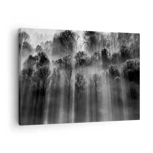 Impression sur toile - Image sur toile - Dans les flots de lumière - 70x50 cm