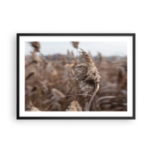 Affiche dans un cadre noir - Poster - Graminées délicates dans des tons beiges sur fond de nature - 70x50cm - Il est temps de s'envoler avec le vent - Décoration murale moderne pour le salon et la chambre ARTTOR