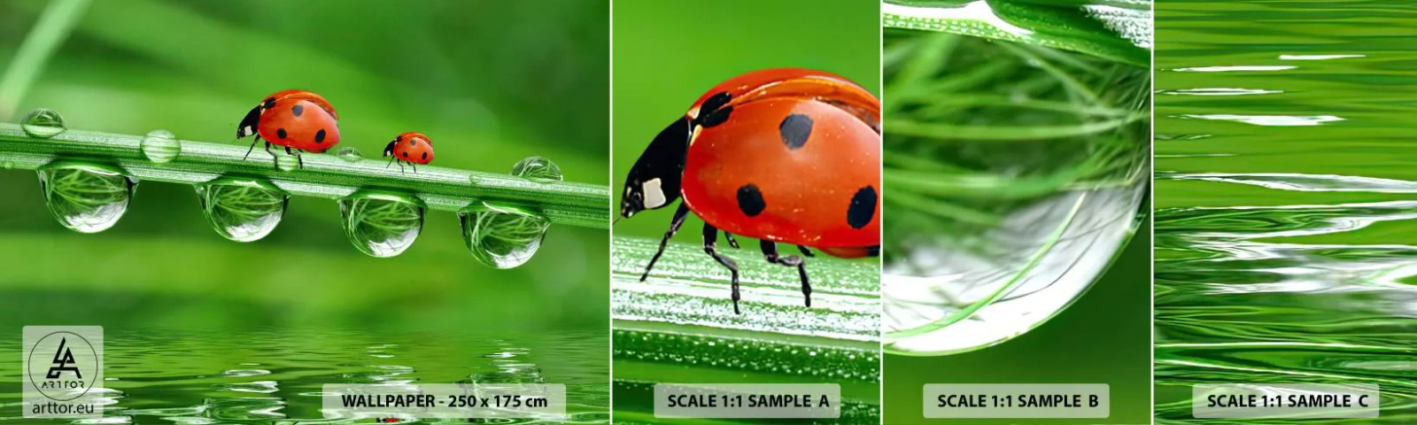 Échantillon De Papier Peint Standard Eco - Sur la route tout l'été - Coccinelle, Une goutte d'eau, Nature - 100x30 cm