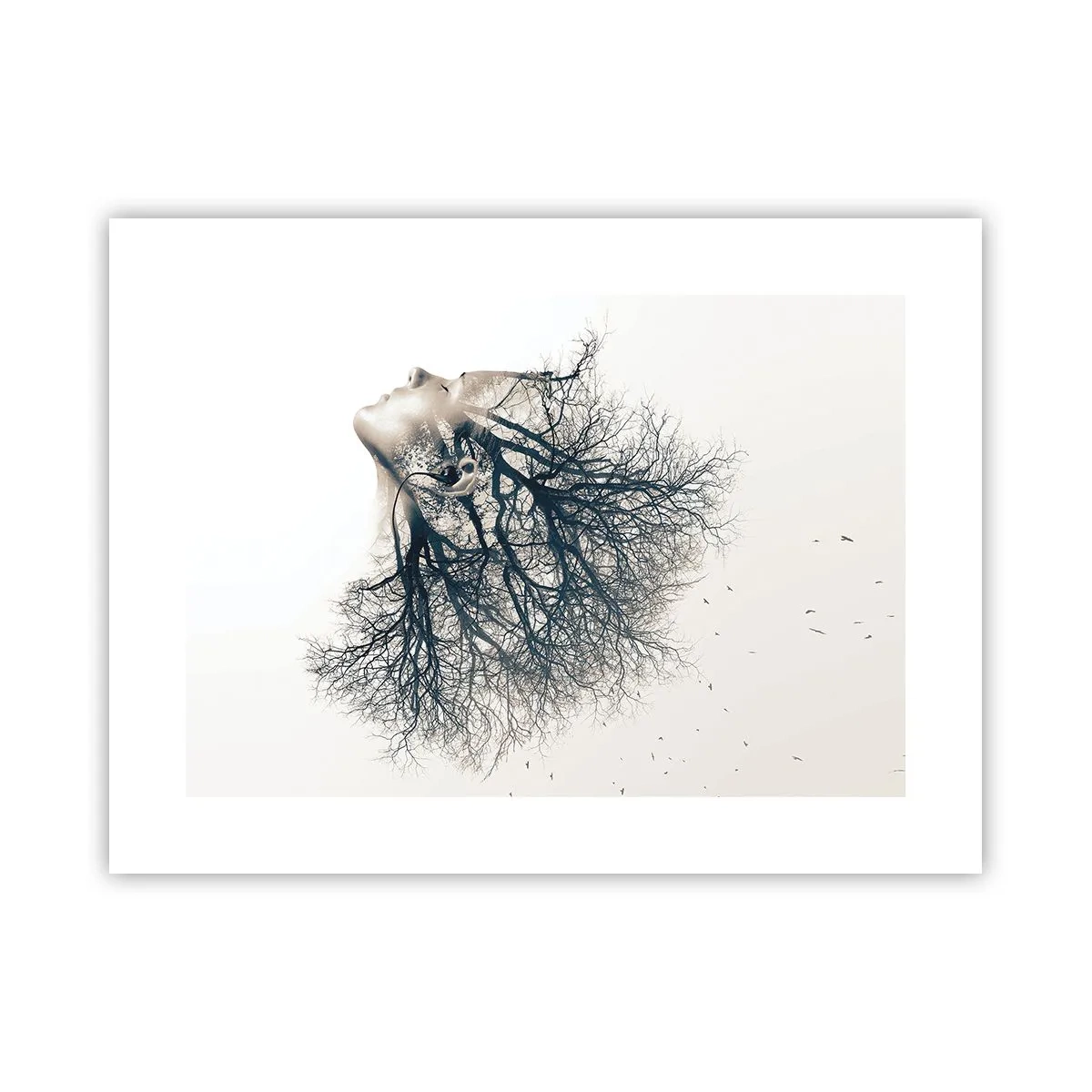 Affiche - Poster - Écouter le murmure des arbres - 40x30 cm