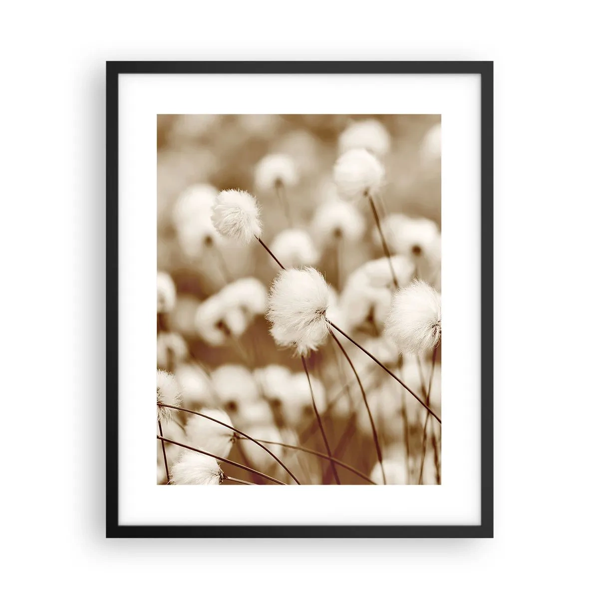 Affiche dans un cadre noir - Poster - Tige moelleuse - 40x50 cm