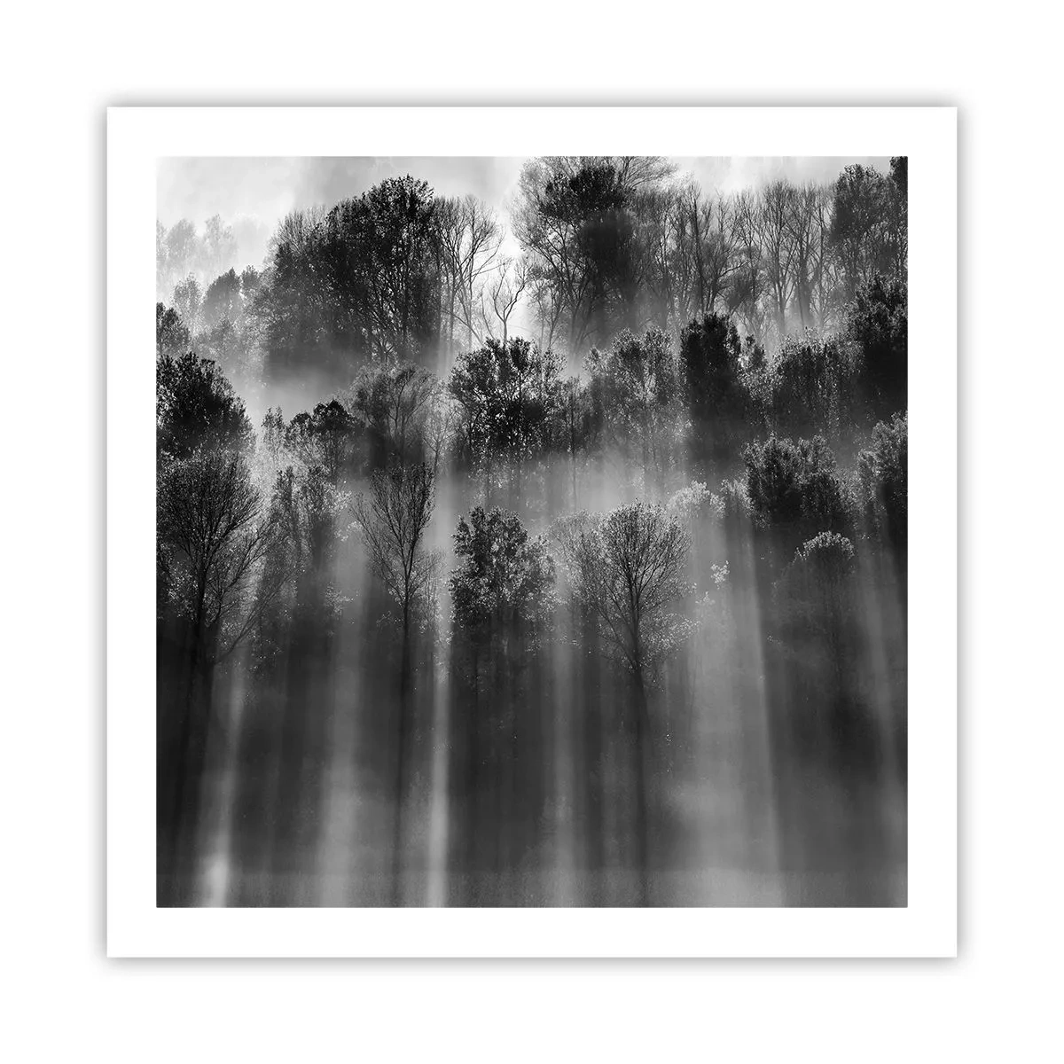 Affiche - Poster - Dans les flots de lumière - 60x60 cm