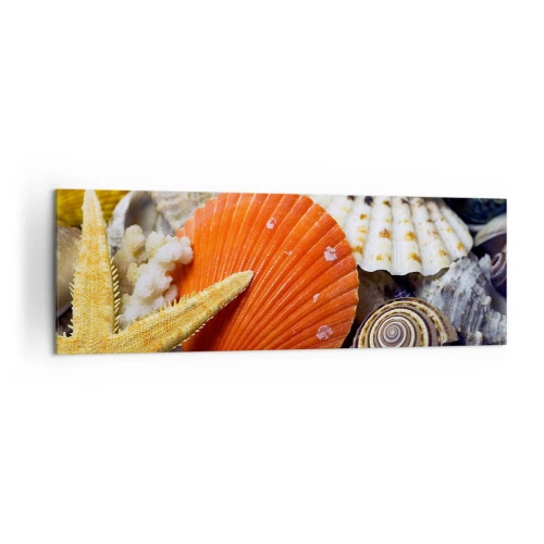 Impression sur toile - Image sur toile - Coquillages et étoiles de mer dans une composition marine - 160x50cm - Trésors de l'océan - Décoration murale moderne pour le salon et la chambre ARTTOR