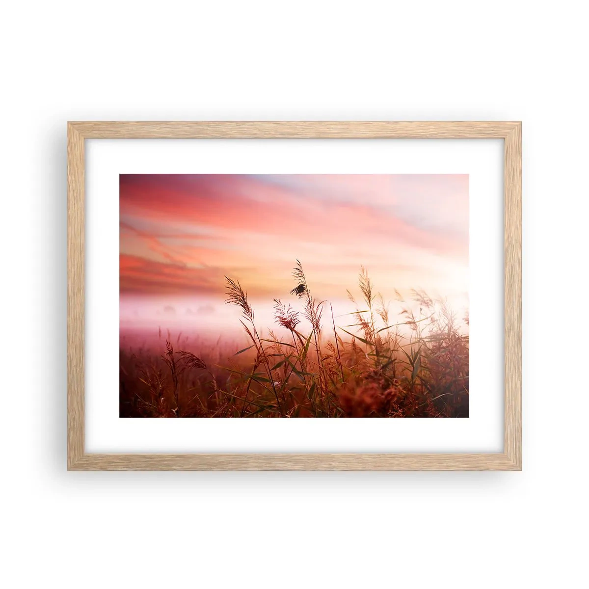 Affiche dans un chêne clair - Poster - Cerfs-volants, pissenlits, vent - 40x30 cm