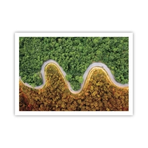 Affiche - Poster - Une route sinueuse à travers la forêt vue à vol d'oiseau - 100x70cm - Frontieres et differences - Décoration murale moderne pour le salon et la chambre ARTTOR