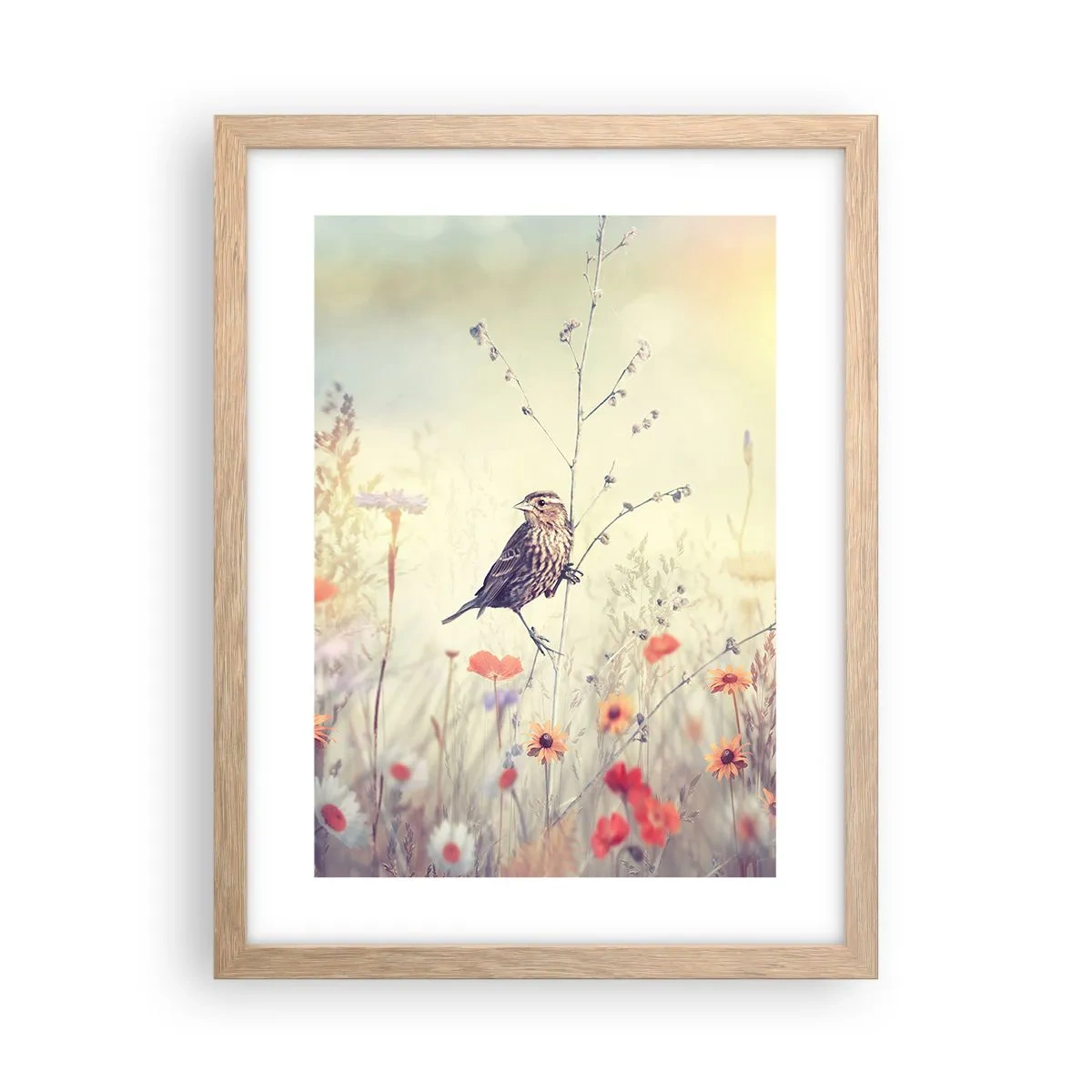 Affiche dans un chêne clair - Poster - Portrait d'oiseau sur pré en fond - 30x40 cm