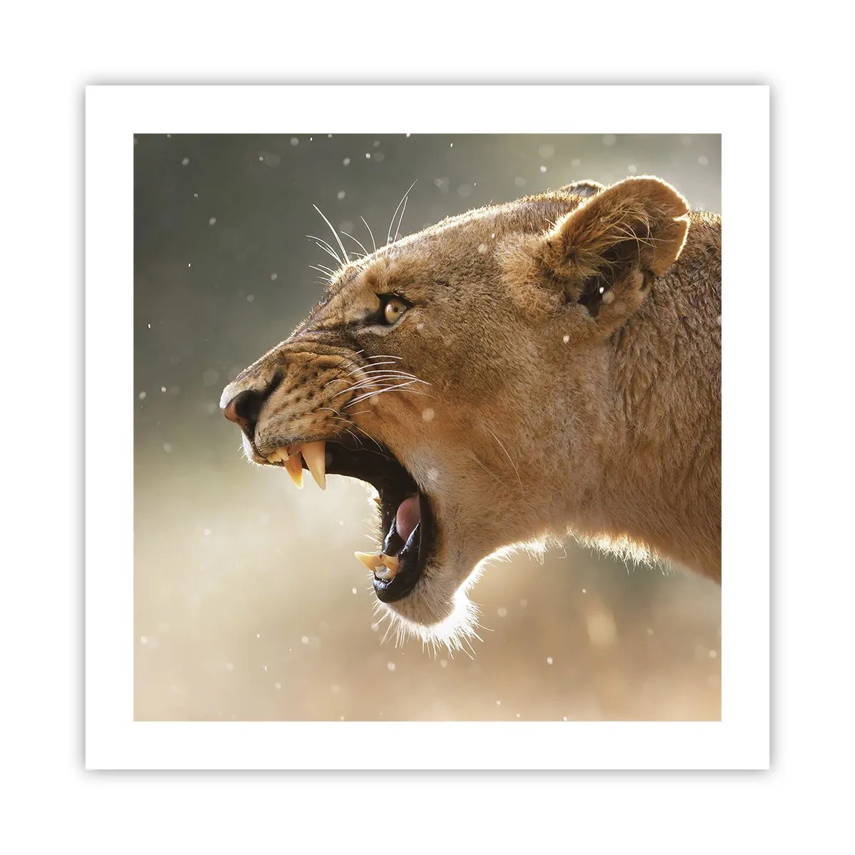 Affiche - Poster - Essayez  de ne pas écouter - 50x50 cm