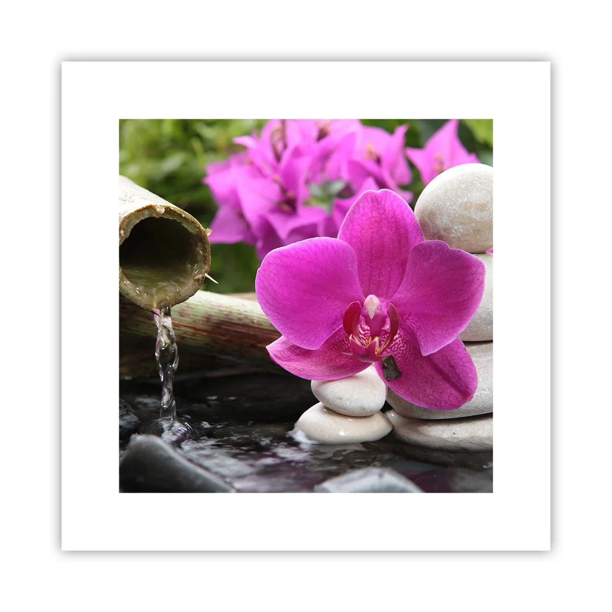 Affiche - Poster - Tu te reposes déjà - 30x30 cm