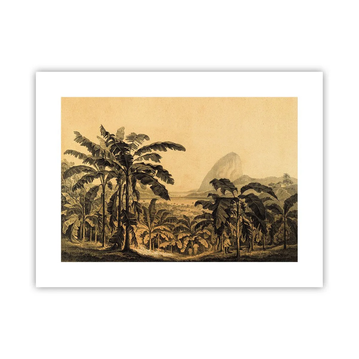 Affiche - Poster - Dans un climat colonial - 40x30 cm