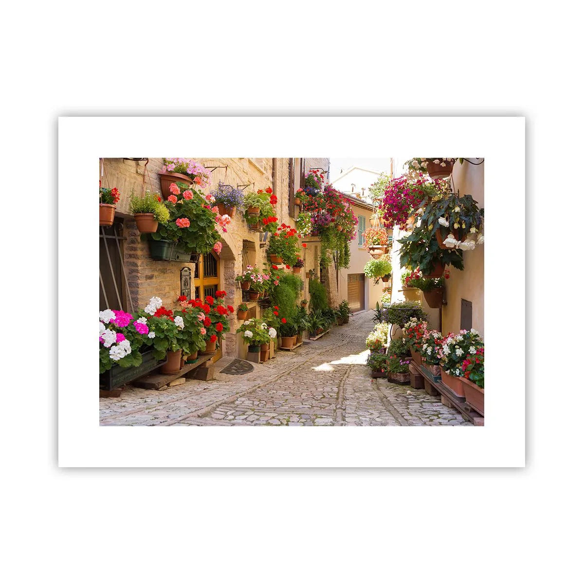 Affiche - Poster - Une inondation de fleurs - 40x30 cm