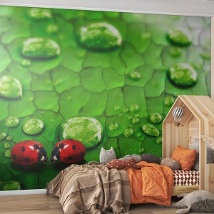 Papier Peint Photo Premium Sand - Rendez-vous au vert - Nature, Coccinelle, Une goutte d'eau - 300x210 cm
