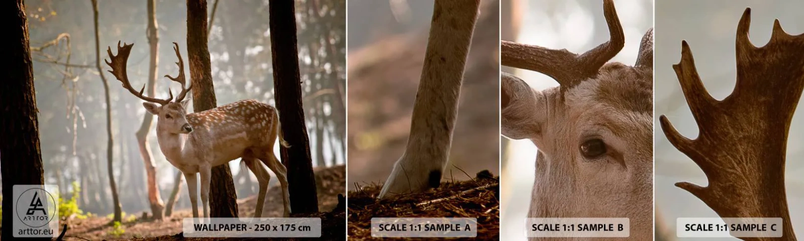Échantillon de Papier Peint Autocollant Deluxe Sticker - La lumière de la jeunesse - Animaux, Cerf, Forêt - 100x30 cm