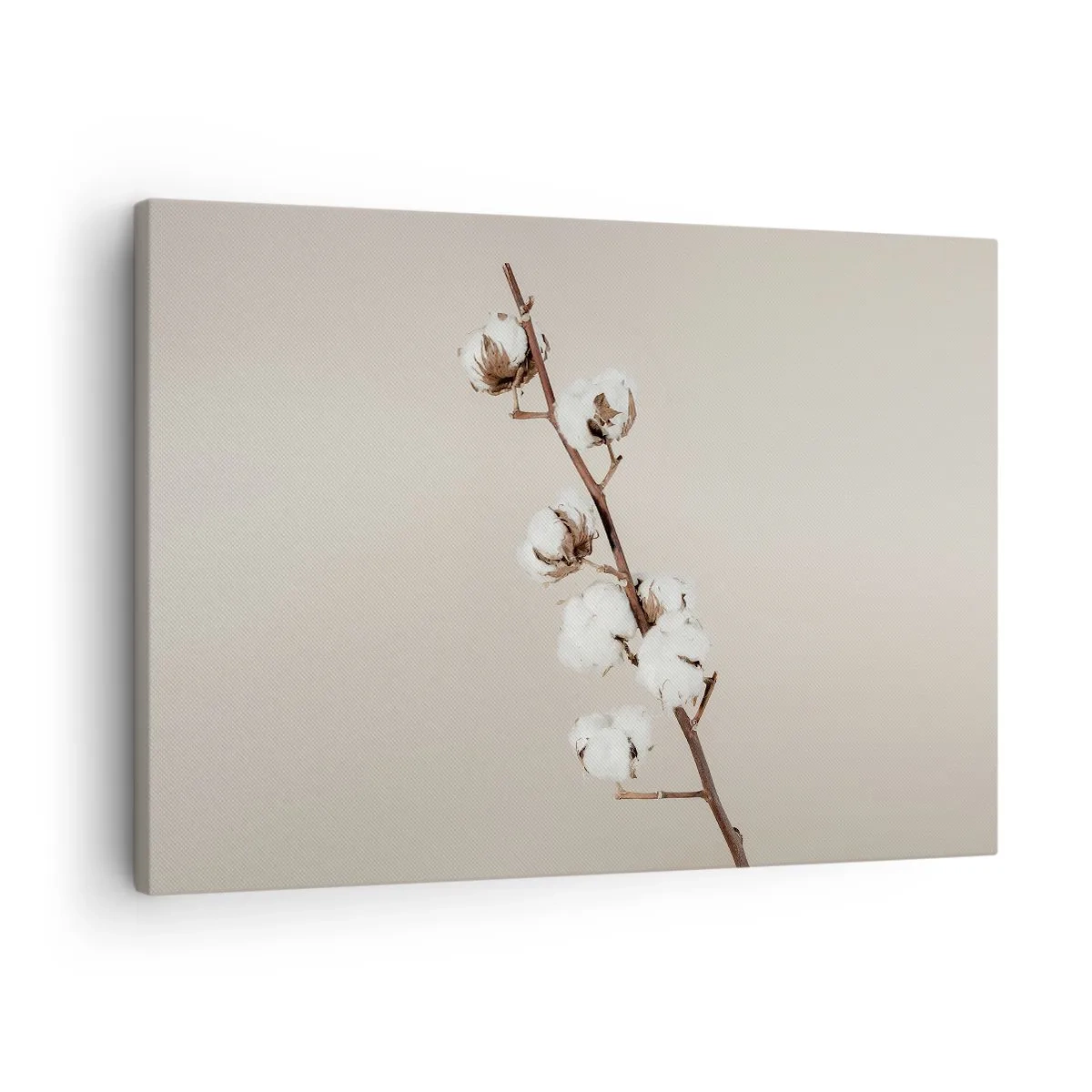 Impression sur toile - Image sur toile - Un brin de coton sur fond beige - 70x50cm - A la source de la douceur - Décoration murale moderne pour le salon et la chambre ARTTOR