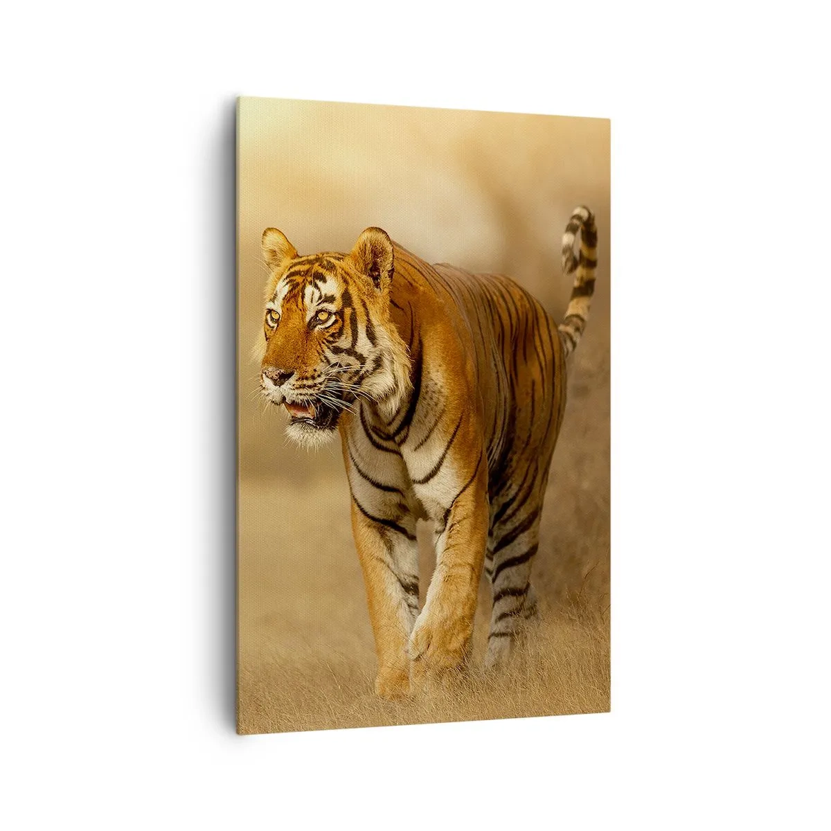 Impression sur toile - Image sur toile - Un tigre marchant dans la savane aux couleurs chaudes - 80x120cm - Avant l'attaque - Décoration murale moderne pour le salon et la chambre ARTTOR