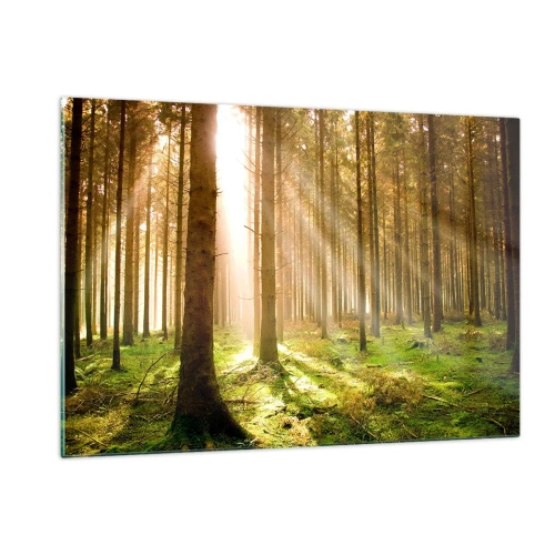 Impression sur verre - Image sur verre - Les rayons du soleil pénètrent à travers les arbres de la forêt - 120x80cm - Les elfes vont bientôt apparaître - Décoration murale moderne pour le salon et la chambre ARTTOR