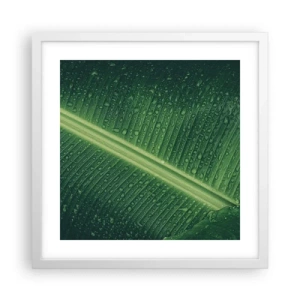 Affiche dans un cadre blanc - Poster - Structure de vert - 40x40 cm