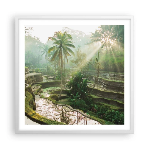 Affiche dans un cadre blanc - Poster - Grandir au soleil - 60x60 cm