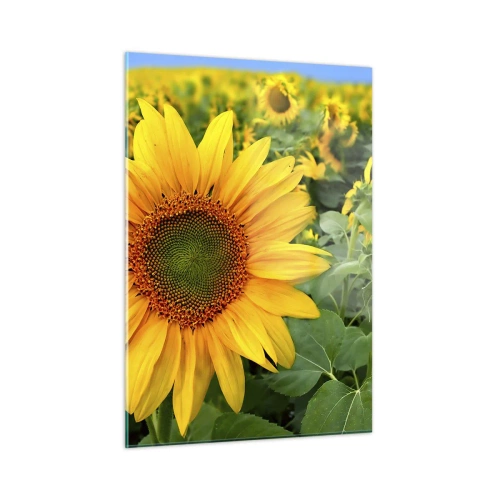 Impression sur verre - Image sur verre - Un champ de tournesols en pleine floraison sous un ciel bleu - 50x70cm - Des centaines de soleils se sont embrasés - Décoration murale moderne pour le salon et la chambre ARTTOR