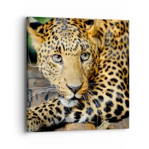 Impression sur toile - Image sur toile - N'aie pas peur, viens - 40x40 cm