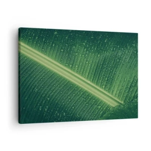 Impression sur toile - Image sur toile - Une feuille verte avec des gouttes d'eau à sa surface - 70x50cm - Structure de vert - Décoration murale moderne pour le salon et la chambre ARTTOR