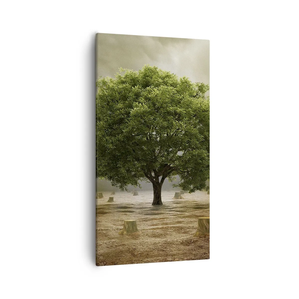 Impression sur toile - Image sur toile - Tout l'espoir - 55x100 cm
