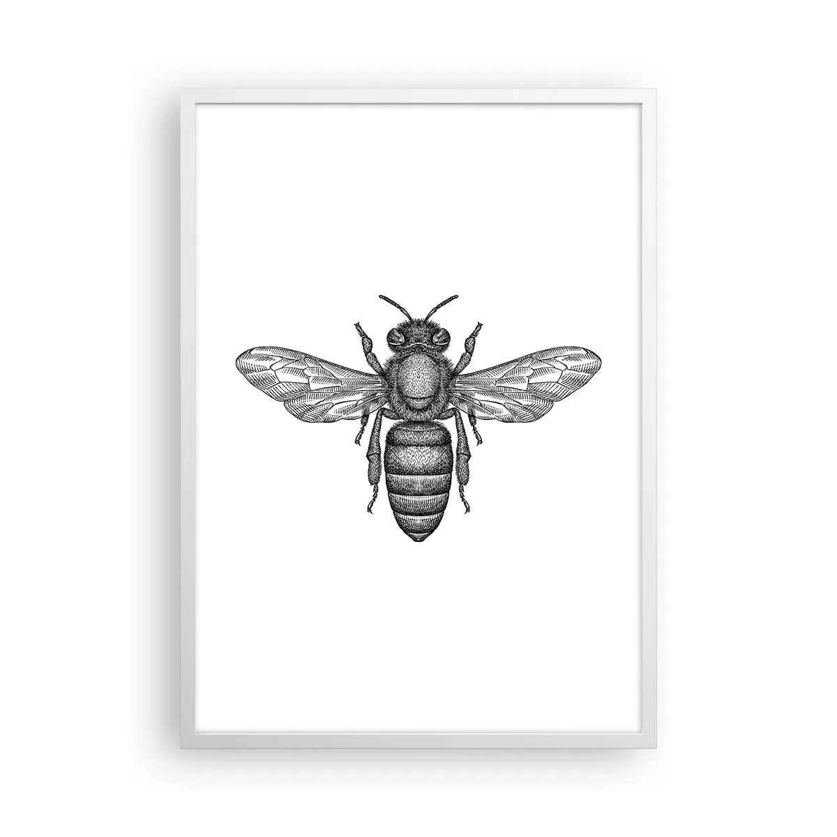 Affiche dans un cadre blanc - Poster - Portrait d'insecte - 50x70 cm