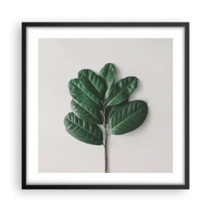 Affiche dans un cadre noir - Poster - Dessin de la nature elle-même - 50x50 cm