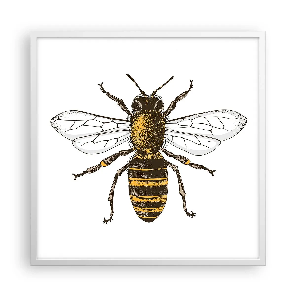 Affiche dans un cadre blanc - Poster - Belle et bonne - 60x60 cm