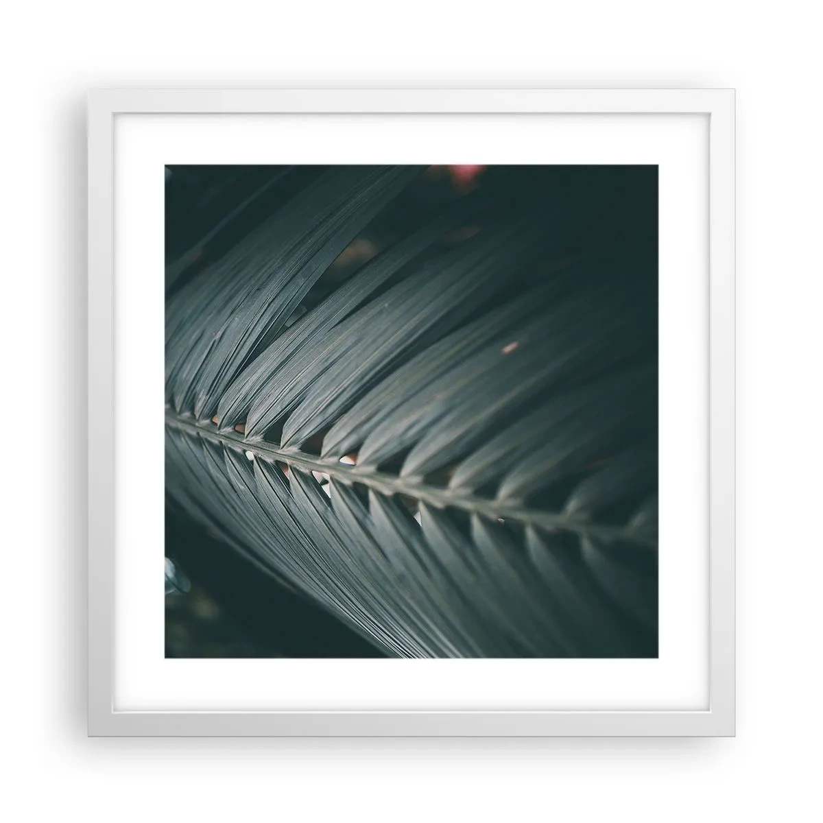 Affiche dans un cadre blanc - Poster - Précision de la nature - 40x40 cm