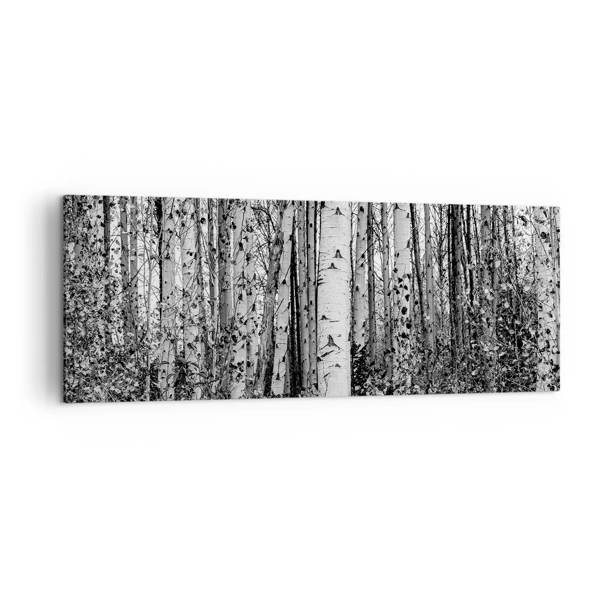 Impression sur toile - Image sur toile - Bouleaux noirs et blancs dans la forêt - 140x50cm - Enchevêtrement de bouleau - Décoration murale moderne pour le salon et la chambre ARTTOR