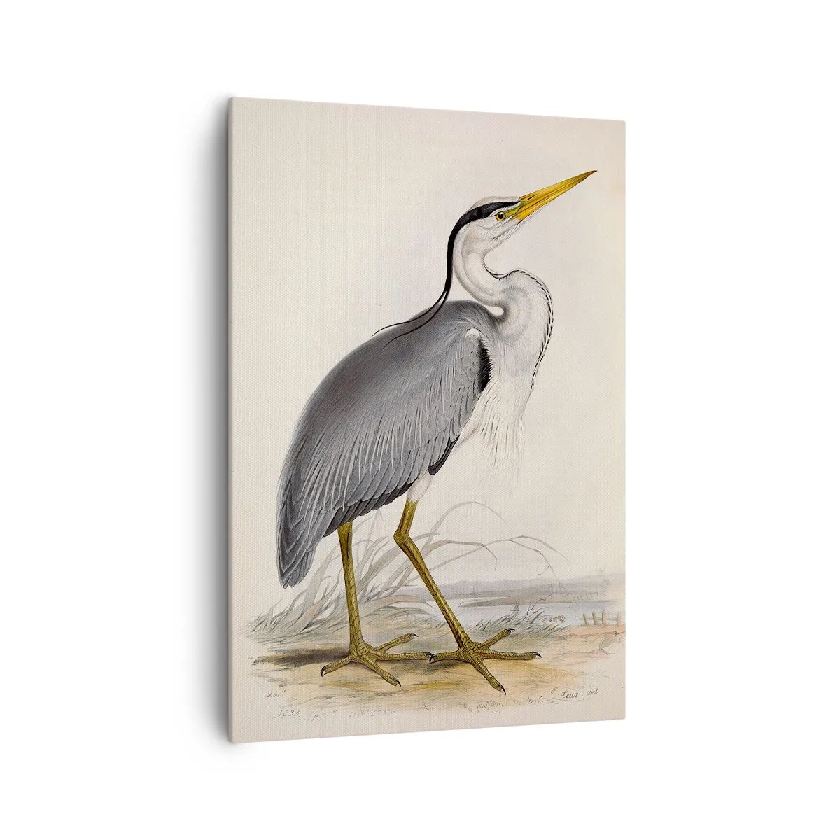 Impression sur toile - Image sur toile - Grâce au héron - 70x100 cm