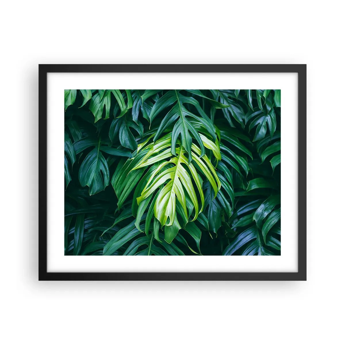 Affiche dans un cadre noir - Poster - Immergez-vous dans la fraîcheur - 50x40 cm