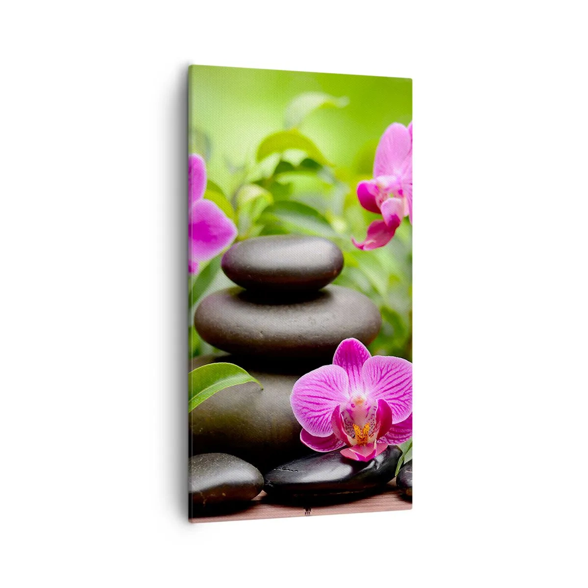 Impression sur toile - Image sur toile - Pyramide de la Paix - 55x100 cm
