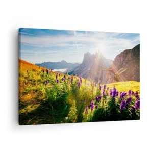 Impression sur toile - Image sur toile - Paysage de montagne avec des fleurs à la lumière du soleil levant - 70x50cm - La vie secrète des herbes - Décoration murale moderne pour le salon et la chambre ARTTOR