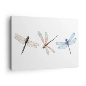 Impression sur toile - Image sur toile - Trois libellules aux couleurs pastel délicates - 70x50cm - Libellules en apesanteur - Décoration murale moderne pour le salon et la chambre ARTTOR