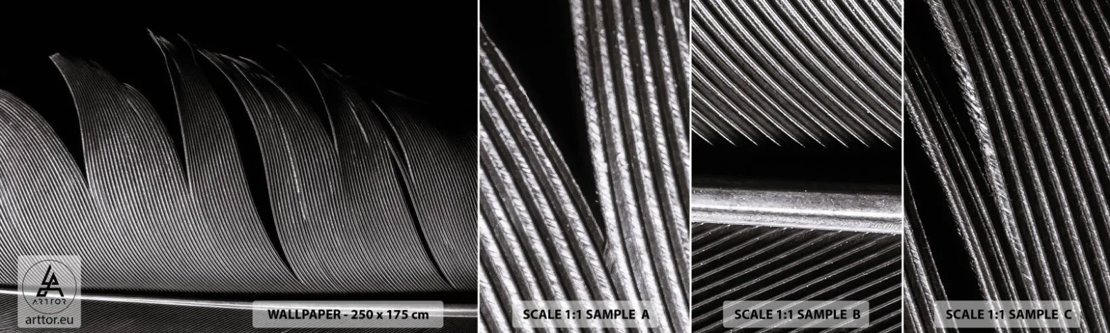 Échantillon De Papier Peint Standard Eco - La plume – un design magnifique - Stylo, Minimalisme, Légèreté - 100x30 cm