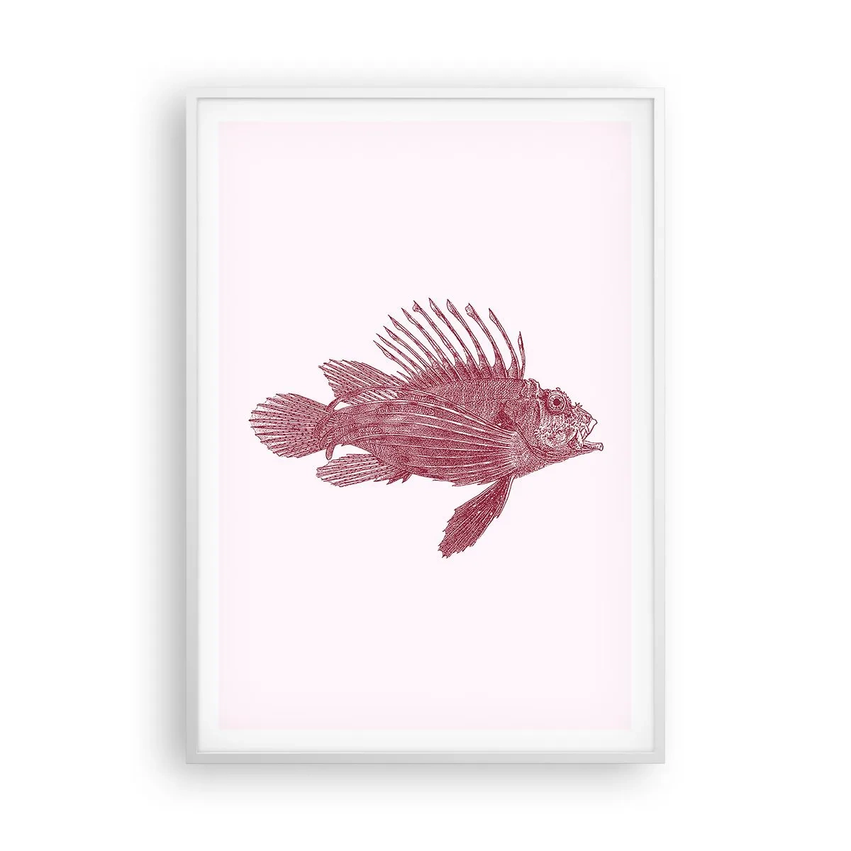 Affiche dans un cadre blanc - Poster - Un habitant des eaux exotiques - 70x100 cm