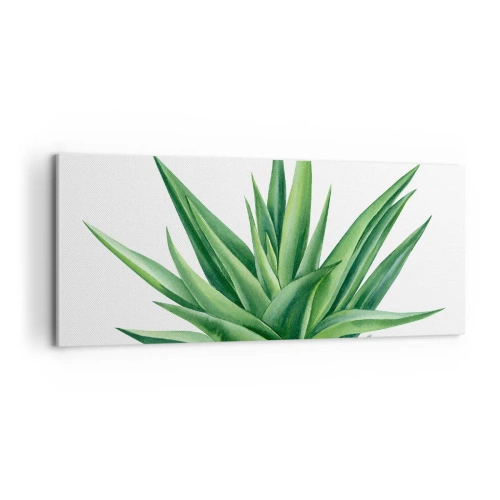 Impression sur toile - Image sur toile - Vert – force – vie - 100x40 cm