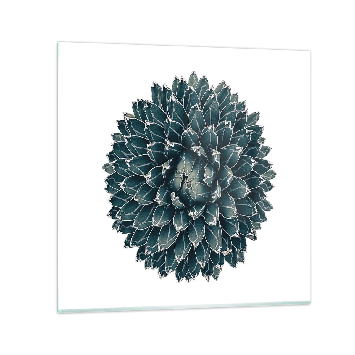 Impression sur verre - Image sur verre - Étoile du désert - 30x30 cm