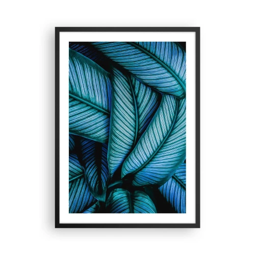 Affiche dans un cadre noir - Poster - Les fascinantes feuilles bleu-vert du bananier - 50x70cm - Lignes de vie - Décoration murale moderne pour le salon et la chambre ARTTOR