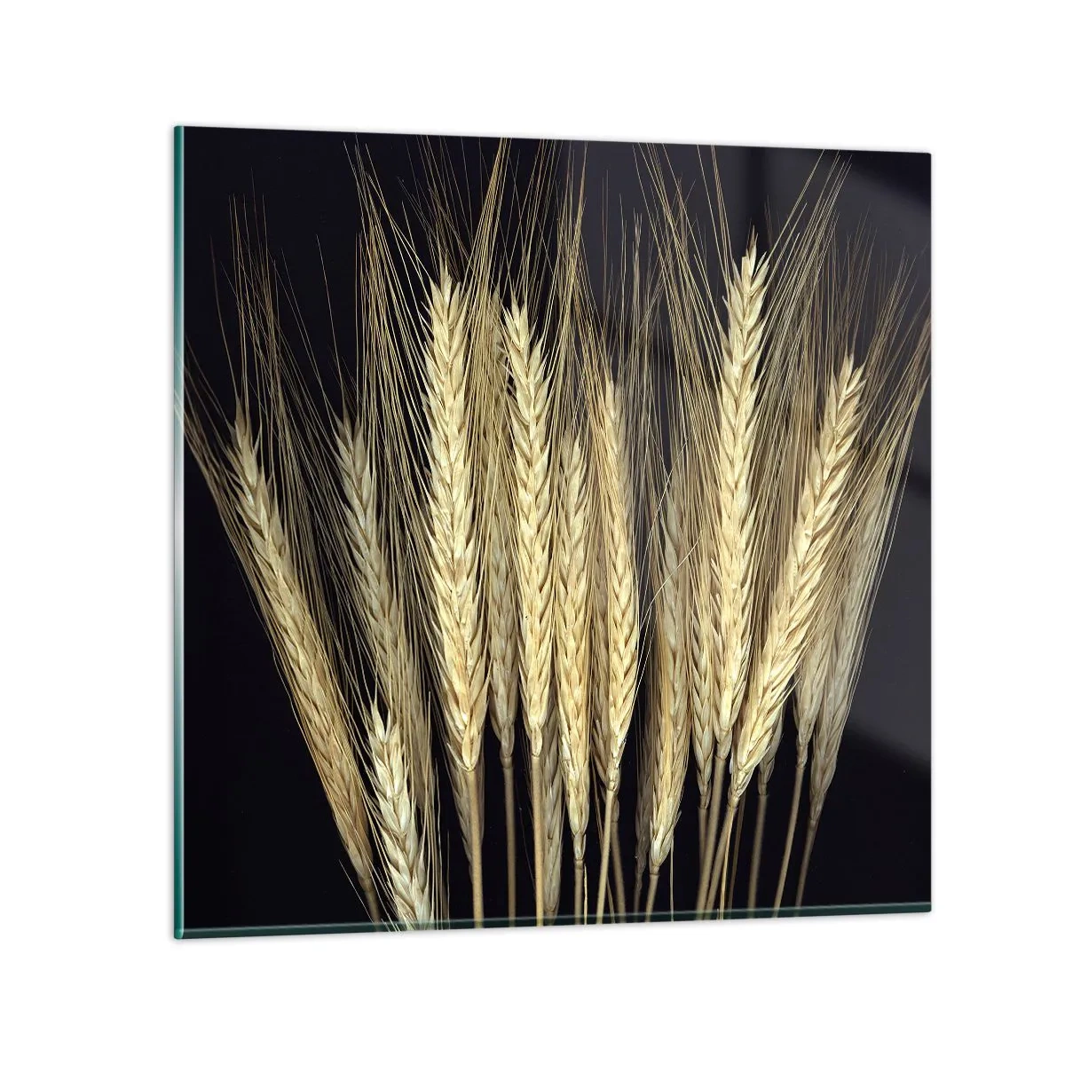 Impression sur verre - Image sur verre - Magie rustique - 40x40 cm